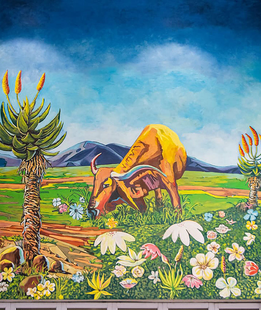 Mall of Mthatha – Above John Dory’s “Idlelo” is a bold celebration of abundance, heritage, and renewal, an artistic gift from the MCAC to the heart of the O.R. Tambo District. Featuring a young bull grazing in fields of plenty, the mural symbolizes resilience, fertility and continuity - a reflection of a community deeply rooted in tradition while embracing modern transformation. Beyond its beauty, “Idlelo” embodies the spirit of the district, a people sustained by land, heritage and creativity.